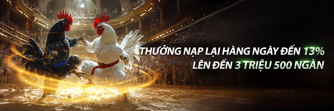 Sân đấu đá gà trực tiếp Alo789 sôi động
